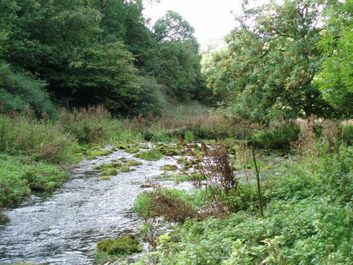 River Lathkill River Lathkill